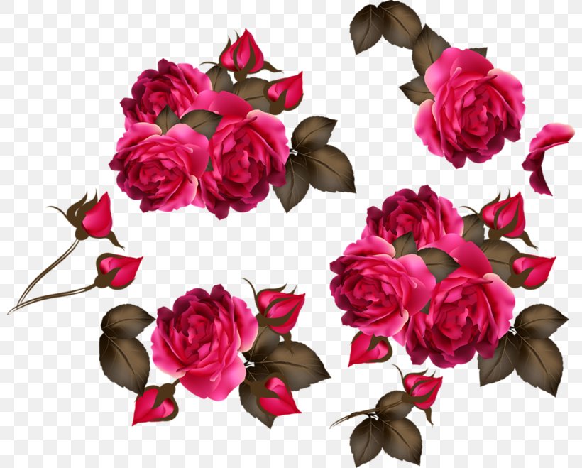 Rose Pink Flower, PNG, 800x659px, Rose, Artificial Flower, Cut Flowers, Floral Design, Floristry Download Free