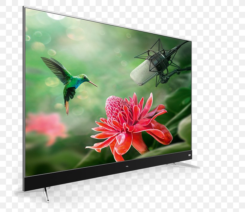 TCL C7006 4K Resolution Ultra-high-definition Television TCL Corporation LED-backlit LCD, PNG, 738x712px, 4k Resolution, Tcl C7006, Advertising, Bird, Display Device Download Free