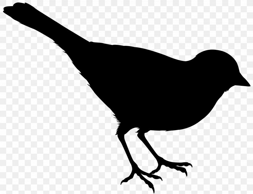 Bird Of Prey Goose Beak Feather, PNG, 2748x2115px, Bird, Beak, Bird Flight, Bird Nest, Bird Of Prey Download Free