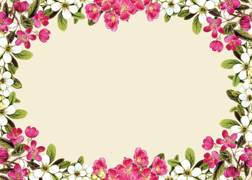 Flower Rose Pink Clip Art, PNG, 1365x975px, Borders And Frames, Art, Blossom, Branch, Cherry Blossom Download Free