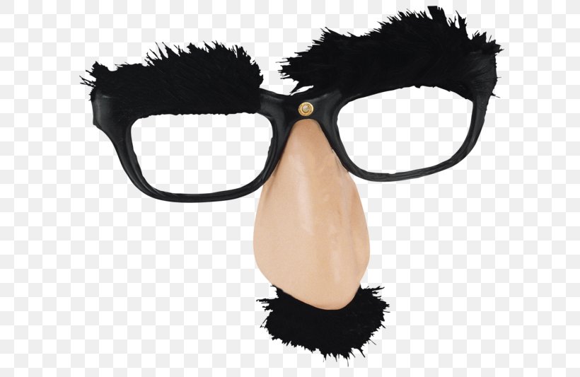 Glasses Eyebrow Nose Facial Hair, PNG, 800x533px, Glasses, Animal, Disguise, Eye, Eyebrow Download Free