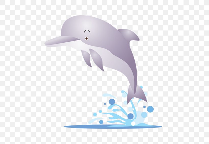 Karadag Dolphinarium Clip Art, PNG, 567x567px, Karadag Dolphinarium, Common Bottlenose Dolphin, Dolphin, Dolphinarium, Fauna Download Free
