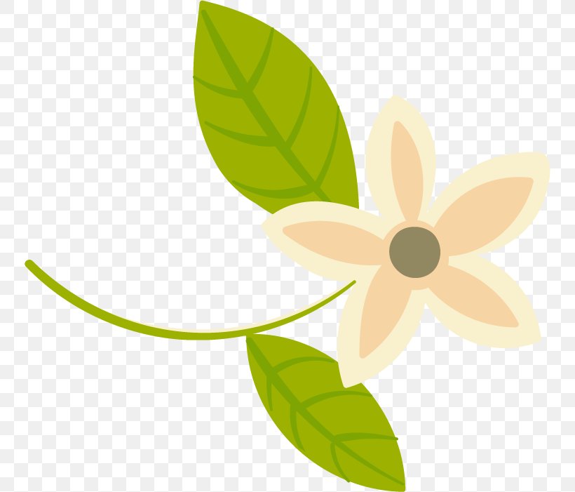 Petal Clip Art Product Design Leaf Flowering Plant, PNG, 750x701px, Petal, Flora, Flower, Flowering Plant, Leaf Download Free