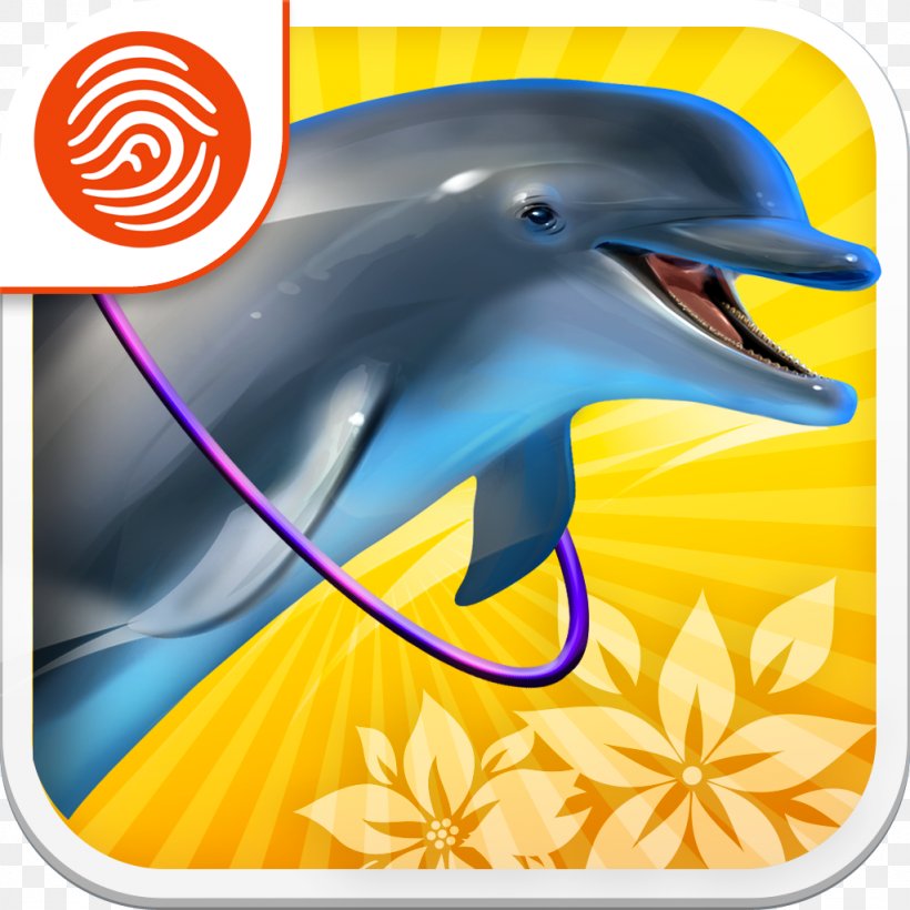 Common Bottlenose Dolphin Tucuxi Wholphin Paradise, PNG, 1024x1024px, Common Bottlenose Dolphin, Beak, Dolphin, Fauna, Icon Design Download Free