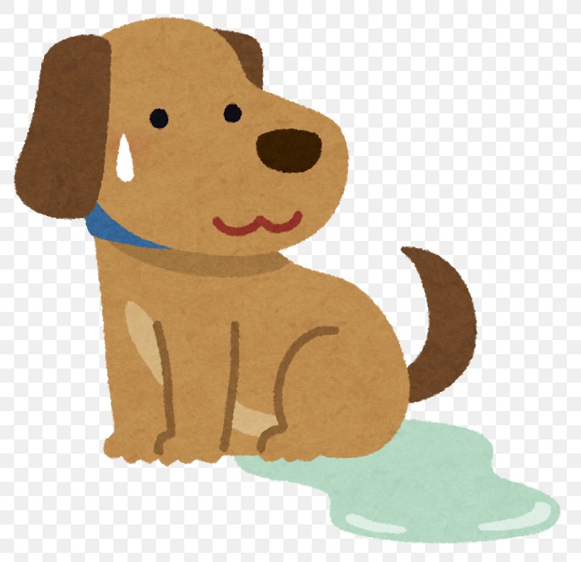 Dog Pet Puppy Toilet Room, PNG, 800x793px, Dog, Animal, Behavior, Carnivoran, Cat Download Free