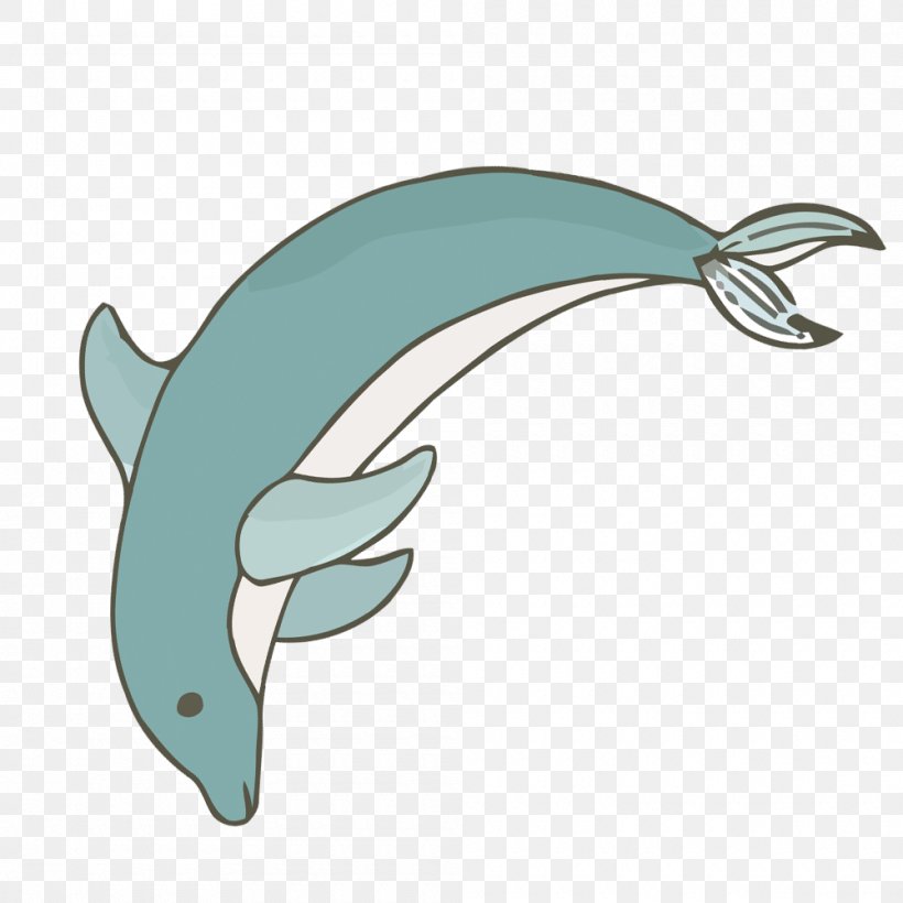 Dolphin Porpoise Euclidean Vector, PNG, 1000x1000px, Dolphin, Designer, Fauna, Fin, Fish Download Free