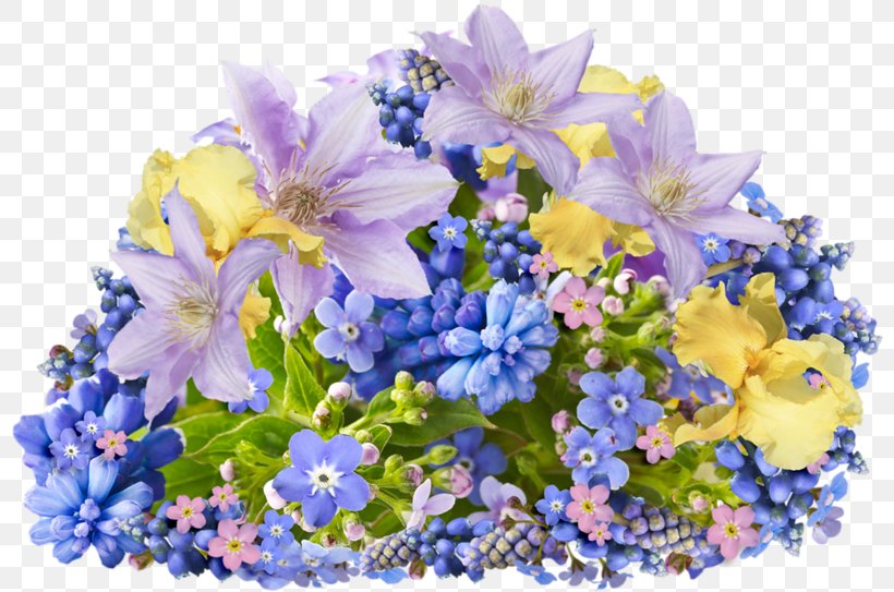 Flower Clip Art, PNG, 800x543px, Flower, Blog, Blue, Bonsai, Borage Family Download Free