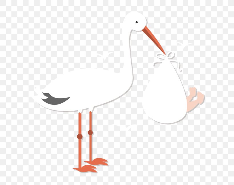 Red-crowned Crane Illustration, PNG, 650x650px, Crane, Animation, Beak, Bird, Birth Download Free