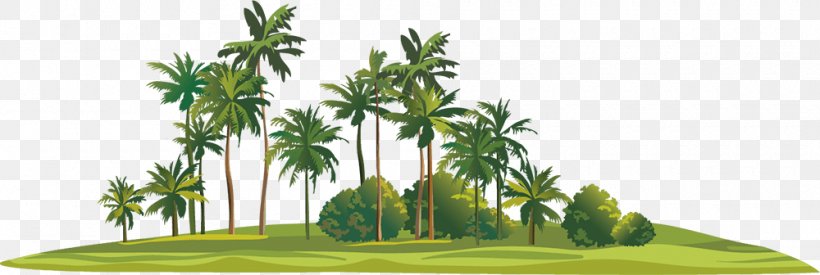 Tropical Islands Resort Game Burning Mondays Asian Palmyra Palm, PNG, 1000x336px, Watercolor, Cartoon, Flower, Frame, Heart Download Free