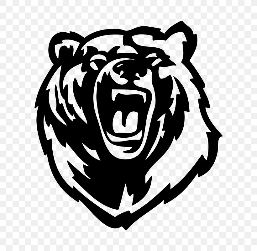 Brown Bear Polar Bear Clip Art, PNG, 800x800px, Bear, Art, Big Cats, Black, Black And White Download Free