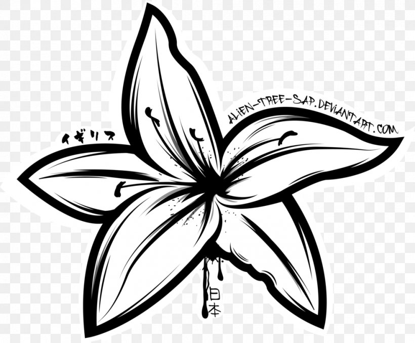 Drawing Lilium 'Stargazer' Tiger Lily Flower, PNG, 982x813px, Drawing, Area, Artwork, Black And White, Butterfly Download Free