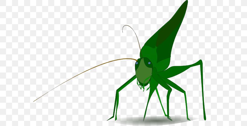 Insect Grasshopper Clip Art, PNG, 600x417px, Insect, Animation, Arthropod, Caelifera, Cartoon Download Free