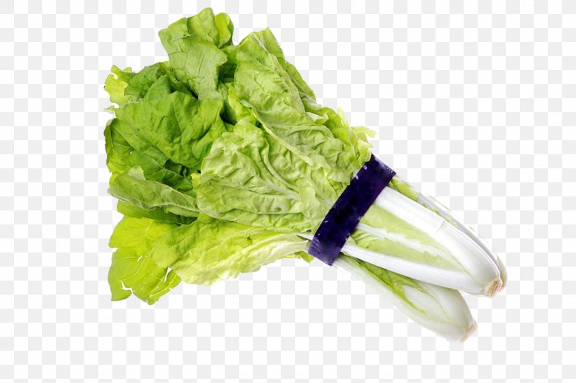 Romaine Lettuce Chinese Cabbage Vegetarian Cuisine, PNG, 1024x683px, Romaine Lettuce, Cabbage, Chinese Cabbage, Food, Food Energy Download Free