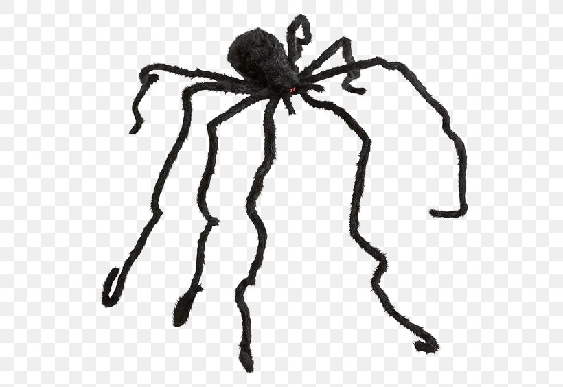Spider Web, PNG, 564x564px, Spider, Arachnid, Arthropod, Black And White, Button Download Free