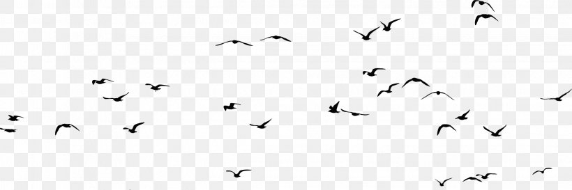 Bird Gulls Silhouette Clip Art, PNG, 2241x748px, Bird, Animal, Animal Migration, Area, Beak Download Free
