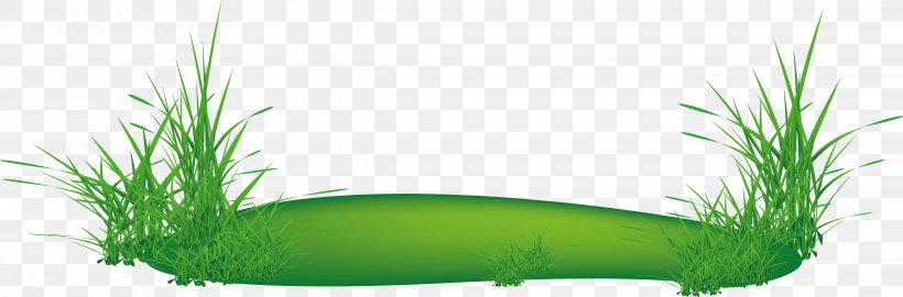 Clip Art Image Vector Graphics, PNG, 8817x2907px, Logo, Aquarium Decor, Flower, Grass, Grass Family Download Free