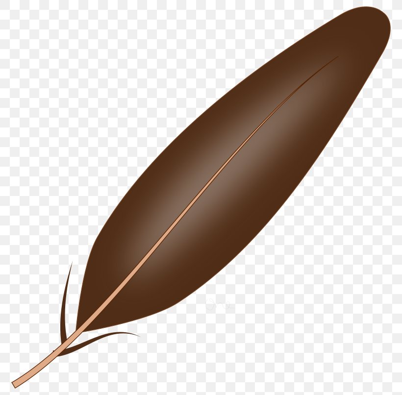 Feather Clip Art, PNG, 800x806px, Feather, Drawing, Eagle Feather Law, Pin Feather Download Free