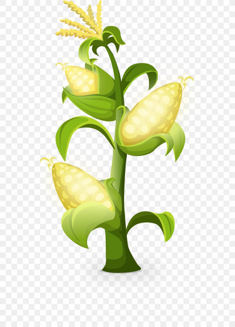 France Restaurant Maize, PNG, 1380x1920px, France, Animation, Arum, Corn Kernel, Cut Flowers Download Free