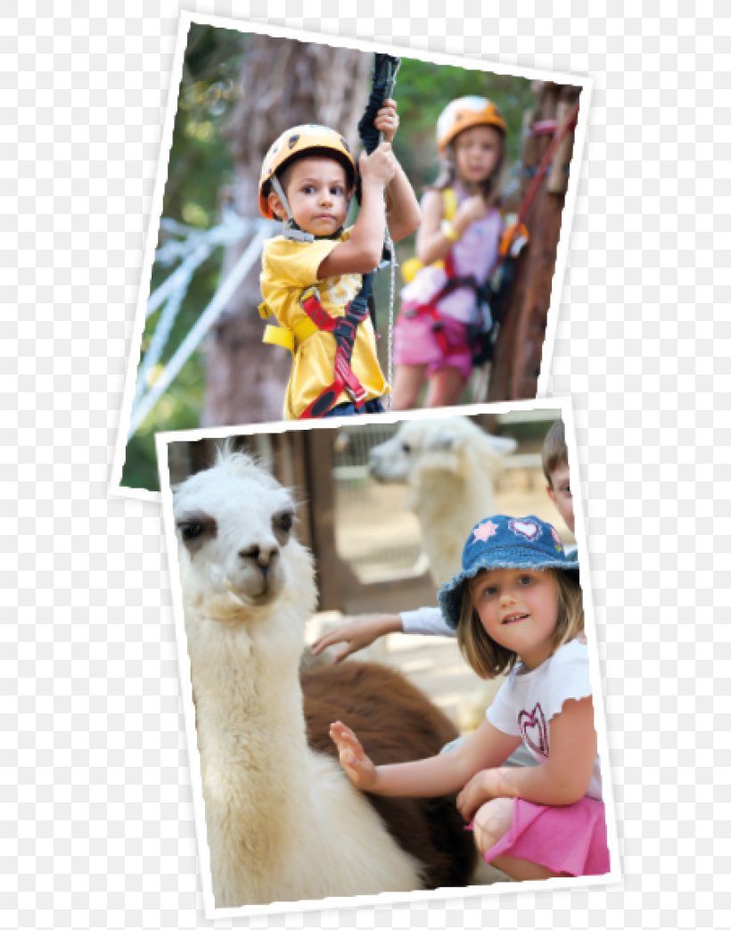 Toddler Picture Frames Leisure Vacation Collage, PNG, 600x1043px, Toddler, Child, Collage, Leisure, Picture Frame Download Free