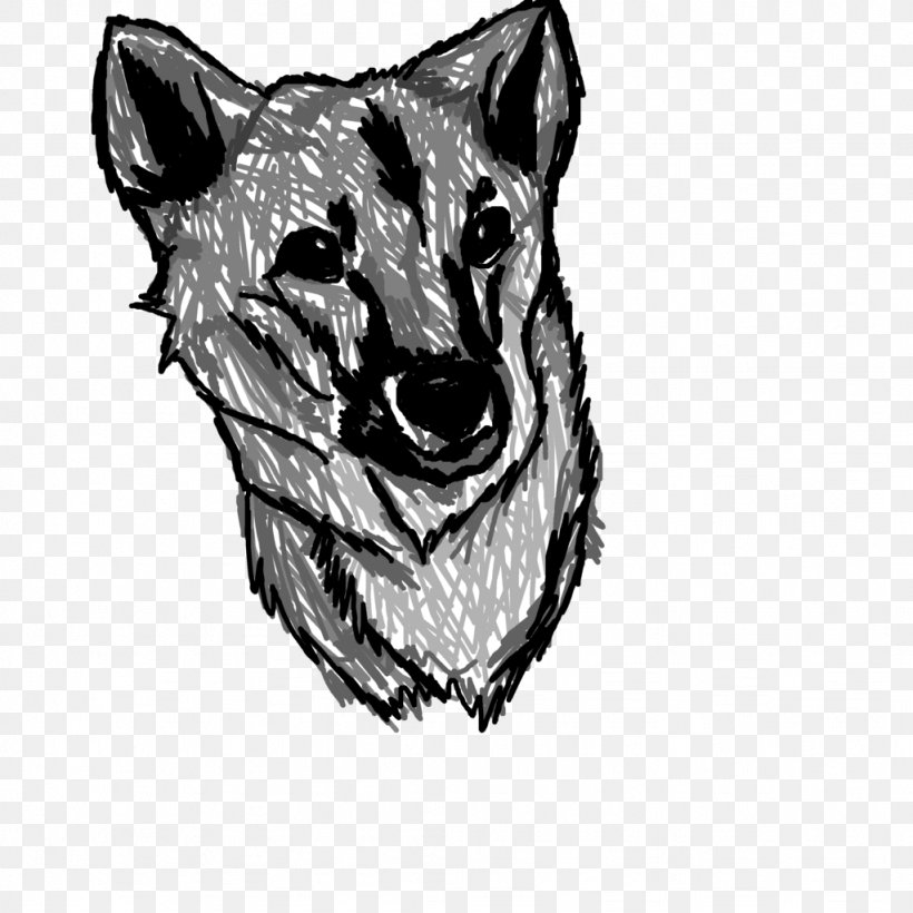 Whiskers Cat Dog Canidae Sketch, PNG, 1024x1024px, Whiskers, Artwork, Big Cat, Big Cats, Black And White Download Free