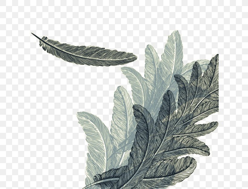 Feather Drawing Royalty-free Watercolor Painting, PNG, 626x626px, Feather, Drawing, Leaf, Logo, Plant Download Free