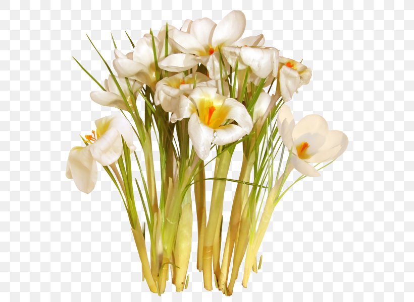 Floral Design Saffron Cut Flowers Safflower, PNG, 600x600px, Floral Design, Cut Flowers, Floristry, Flower, Flower Arranging Download Free