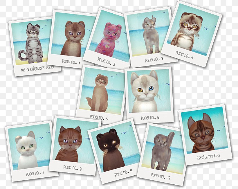 Material Picture Frames Animal, PNG, 800x651px, Material, Animal, Picture Frame, Picture Frames Download Free