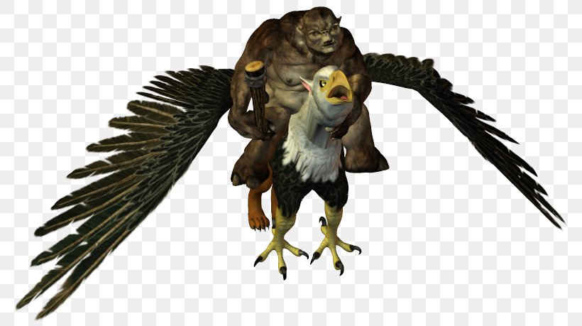 Owl Hawk Fauna Eagle Beak, PNG, 787x459px, Owl, Beak, Bird, Bird Of Prey, Eagle Download Free
