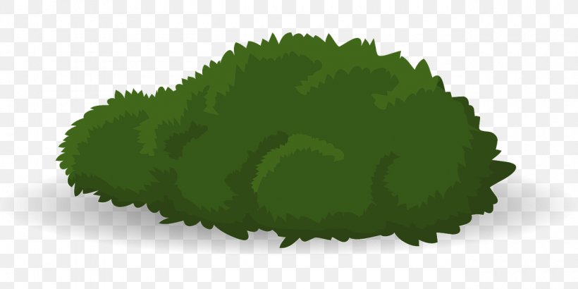 Shrub Grass Green Tree Woody Plant, PNG, 1280x640px, Shrub, Cartoon, Garden, Grass, Green Download Free