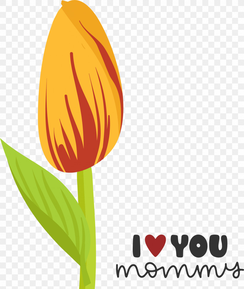 Flower Plant Stem Logo Tulip Petal, PNG, 1763x2084px, Flower, Biology, Logo, Meter, Petal Download Free