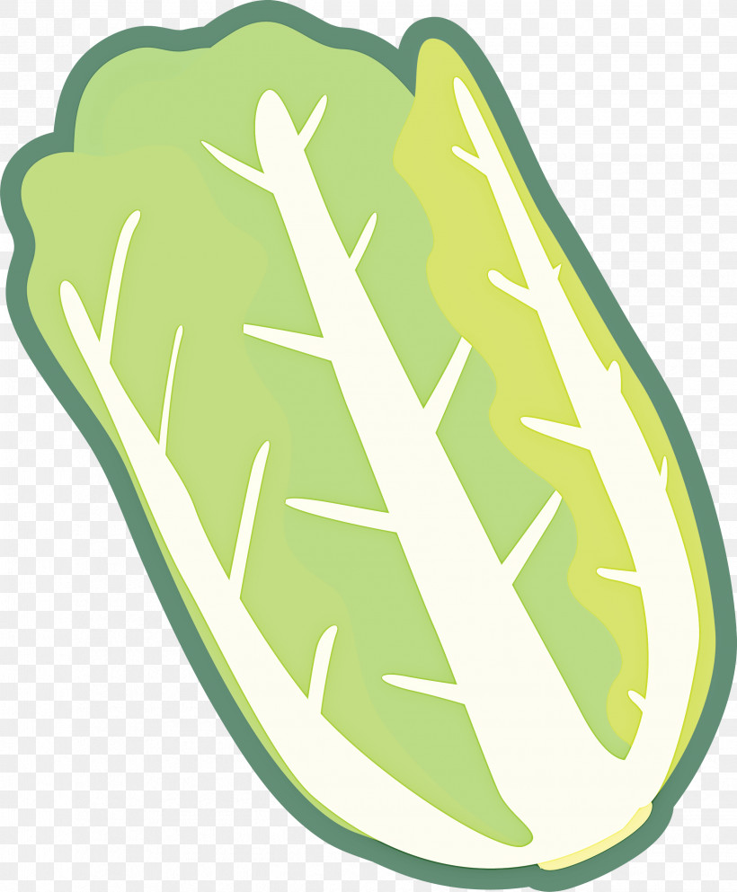Nappa Cabbage, PNG, 2475x3000px, Nappa Cabbage, Green, Leaf, Plant Download Free