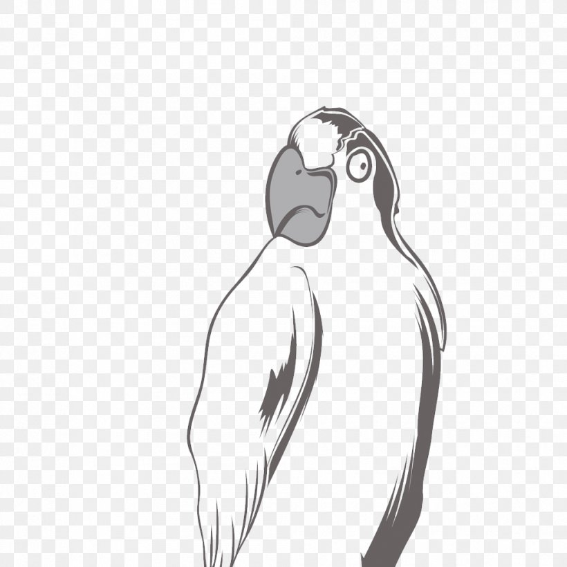 Parrot Black And White T-shirt, PNG, 992x992px, Parrot, Audio Equipment, Beak, Bird, Black And White Download Free