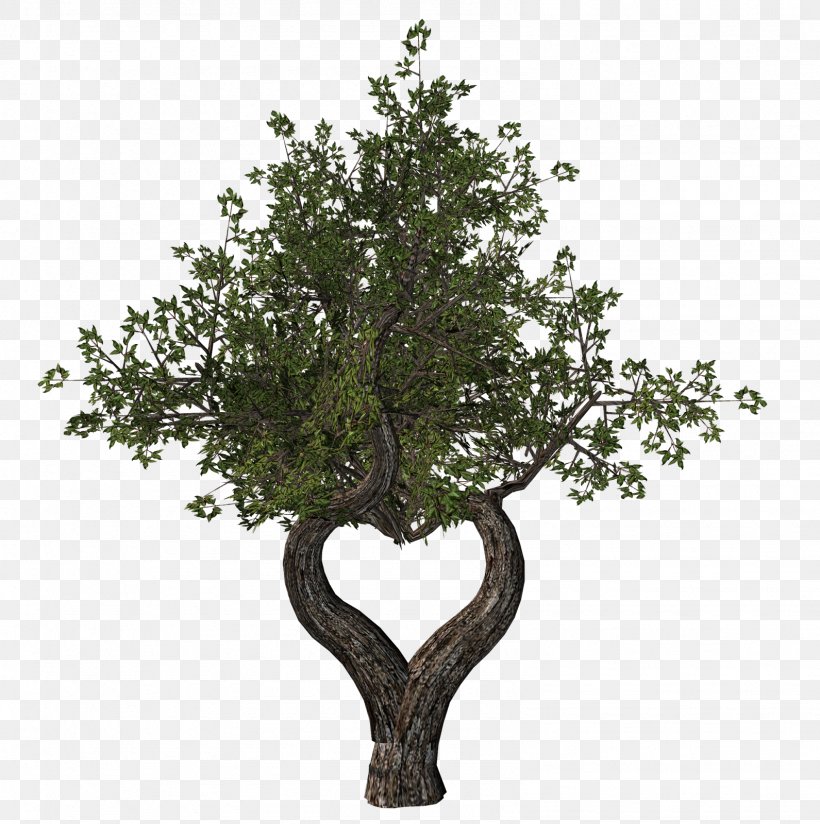 Tu B'Shevat Ansichtkaart Tree Holiday Yom Kippur, PNG, 1591x1600px, Ansichtkaart, Branch, Hanukkah, Holiday, New Year Download Free