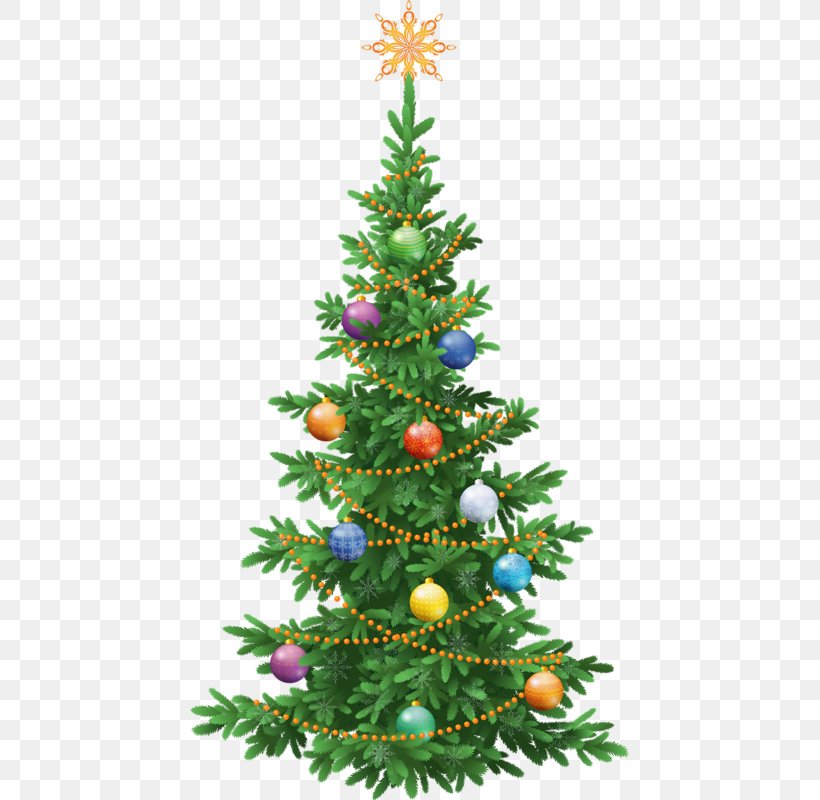 Abies Alba Abies Koreana Spruce Tree Green, PNG, 439x800px, Abies Alba, Abies Koreana, Christmas, Christmas Decoration, Christmas Ornament Download Free