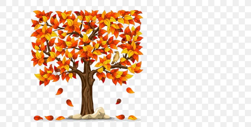 Autumn Leaf Color Fall Tree, PNG, 740x416px, Autumn, Autumn Leaf Color, Branch, Bud, Deciduous Download Free