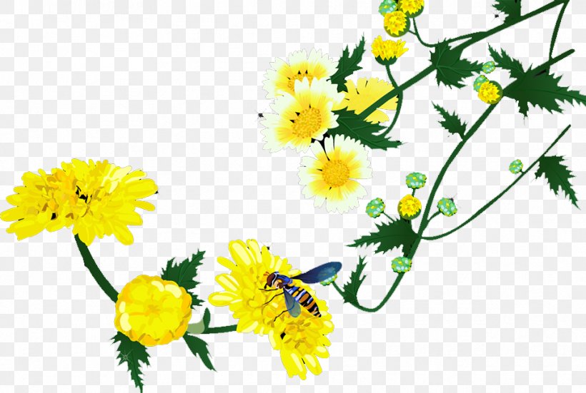 Roman Chamomile Floral Design Chrysanthemum Cut Flowers, PNG, 959x645px, Roman Chamomile, Branch, Chamaemelum, Chamaemelum Nobile, Chrysanthemum Download Free