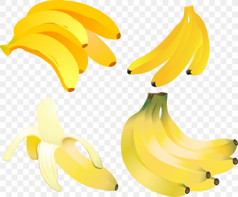 Banana Fruit, PNG, 4593x3795px, Banana, Banana Family, Drawing, Flowering Plant, Food Download Free