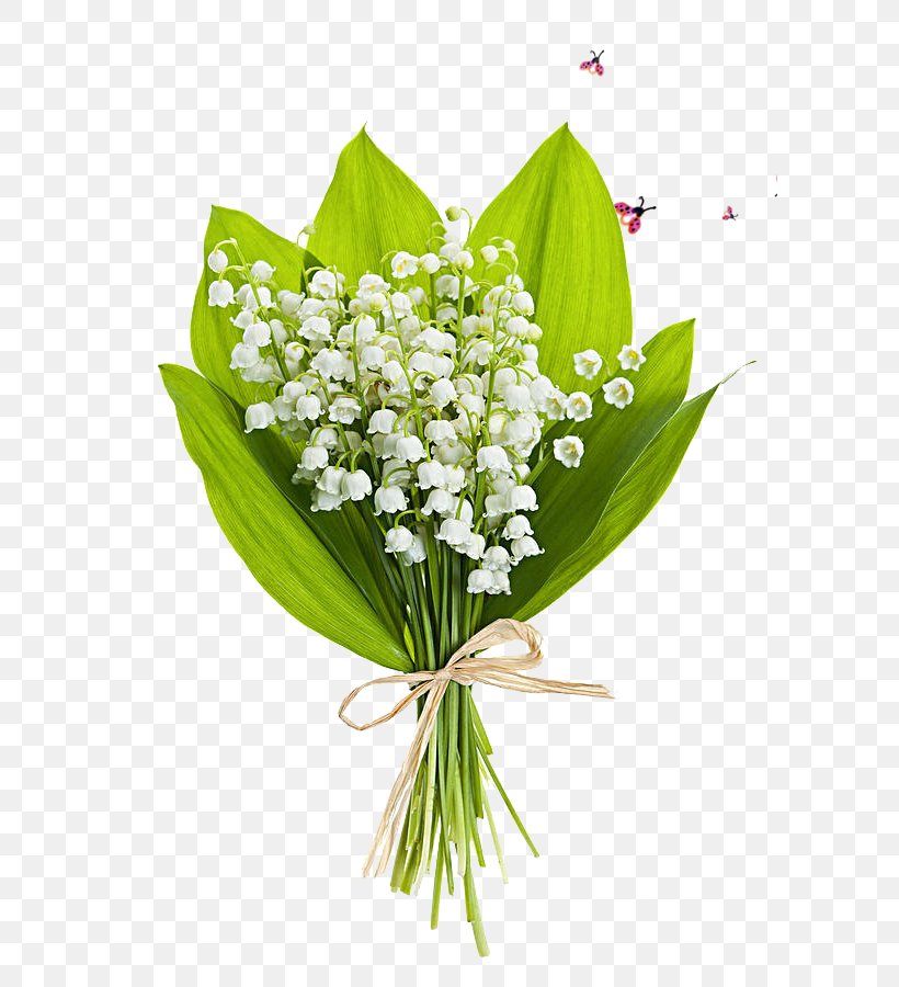 Lily Of The Valley Flower Bouquet Stock Photography Perfume, PNG, 599x900px, Lily Of The Valley, Art, Can Stock Photo, Convallaria, Cut Flowers Download Free