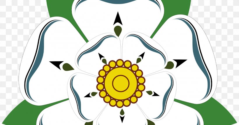 White Rose Of York Wars Of The Roses House Of York Red Rose Of Lancaster, PNG, 1200x630px, York, Area, Artwork, Ball, Cut Flowers Download Free