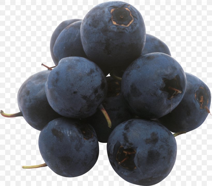 European Blueberry Fruit Frutti Di Bosco, PNG, 3204x2814px, Blueberry, Auglis, Berry, Bilberry, Blackberry Download Free