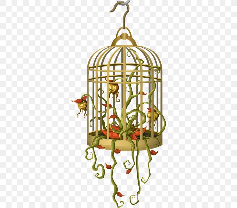 Birdcage, PNG, 360x720px, Bird, Animaatio, Bird Anatomy, Birdcage, Cage Download Free