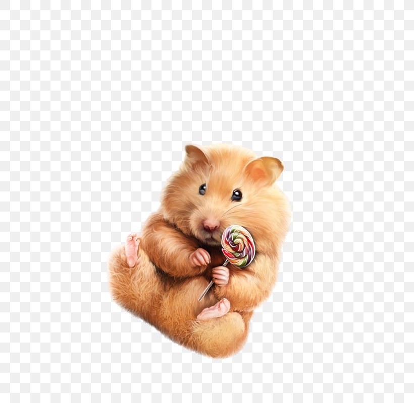 Hamster Background, PNG, 469x800px, Hamster, Animal, Animation, Blog, Drawing Download Free