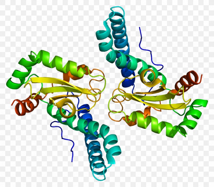 Macromolecule Polymer Repeat Unit Protein, PNG, 886x777px, Macromolecule, Art, Concept, Molecule, Organism Download Free