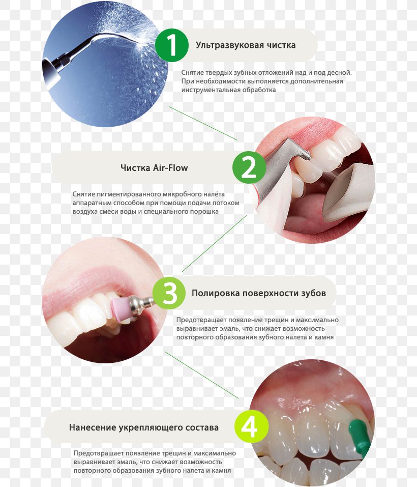 Tooth Brushing Lip Dentistry Human Mouth, PNG, 659x957px, Tooth Brushing, Dentistry, Human Mouth, Lip, Mouth Download Free