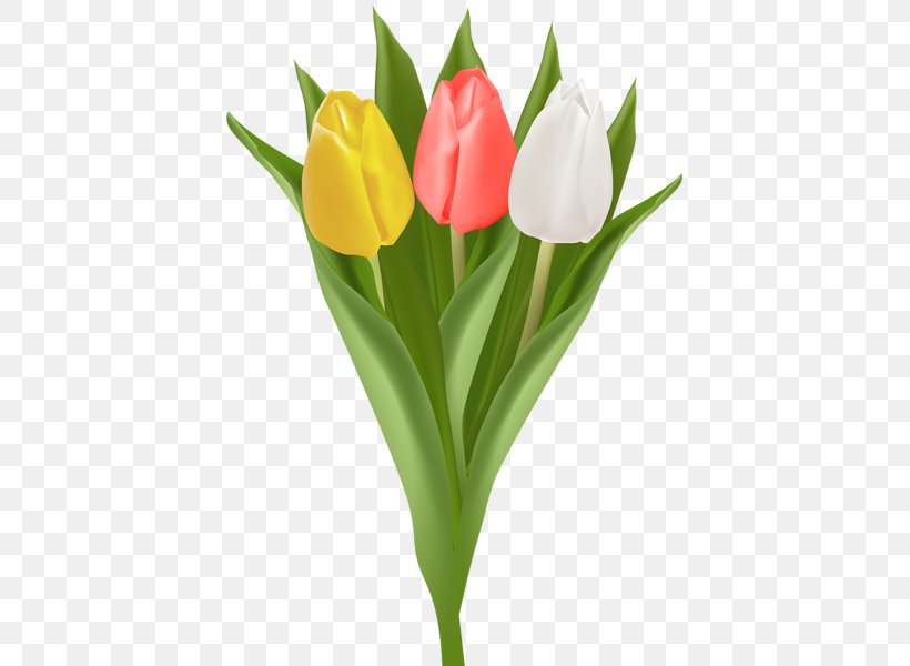 Tulip Flower Bouquet Clip Art, PNG, 417x600px, Tulip, Art Museum, Com, Cut Flowers, Daffodil Download Free