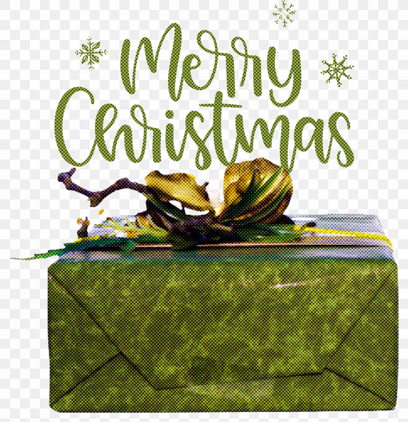 Merry Christmas Christmas Day Xmas, PNG, 2500x2585px, Merry Christmas, Biology, Christmas Day, Meter, Plants Download Free