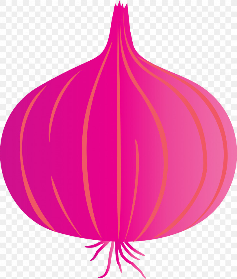 Onion, PNG, 2546x3000px, Onion, Biology, Flower, Geometry, Leaf Download Free