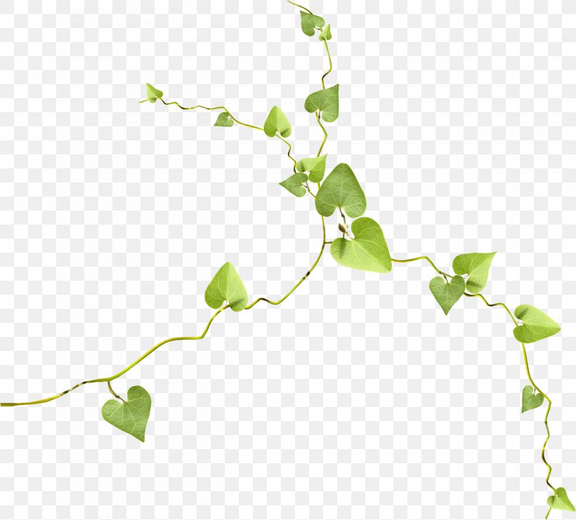 Photography Clip Art, PNG, 2500x2260px, Photography, Branch, Flora, Grass, Gratis Download Free
