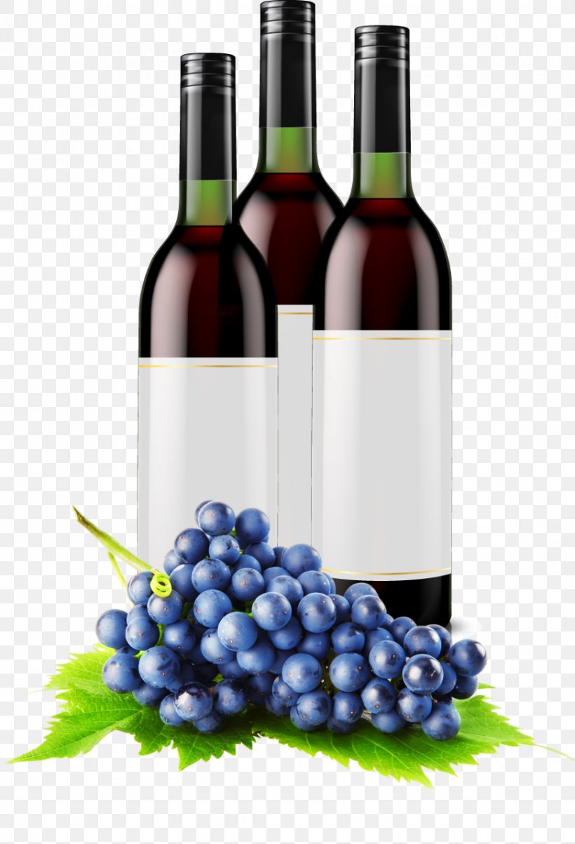 Common Grape Vine Fruit, PNG, 872x1280px, Common Grape Vine, Alcoholic Beverage, Berry, Blueberry, Bottle Download Free