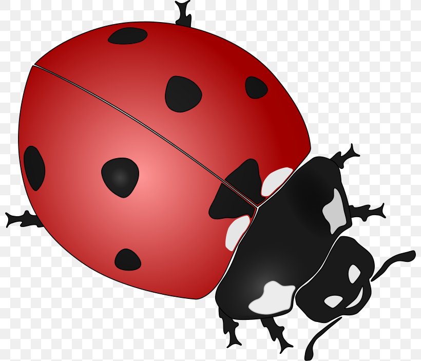 Ladybird Drawing Black And White Clip Art, PNG, 800x703px, Ladybird, Beetle, Black And White, Color, Coloring Book Download Free